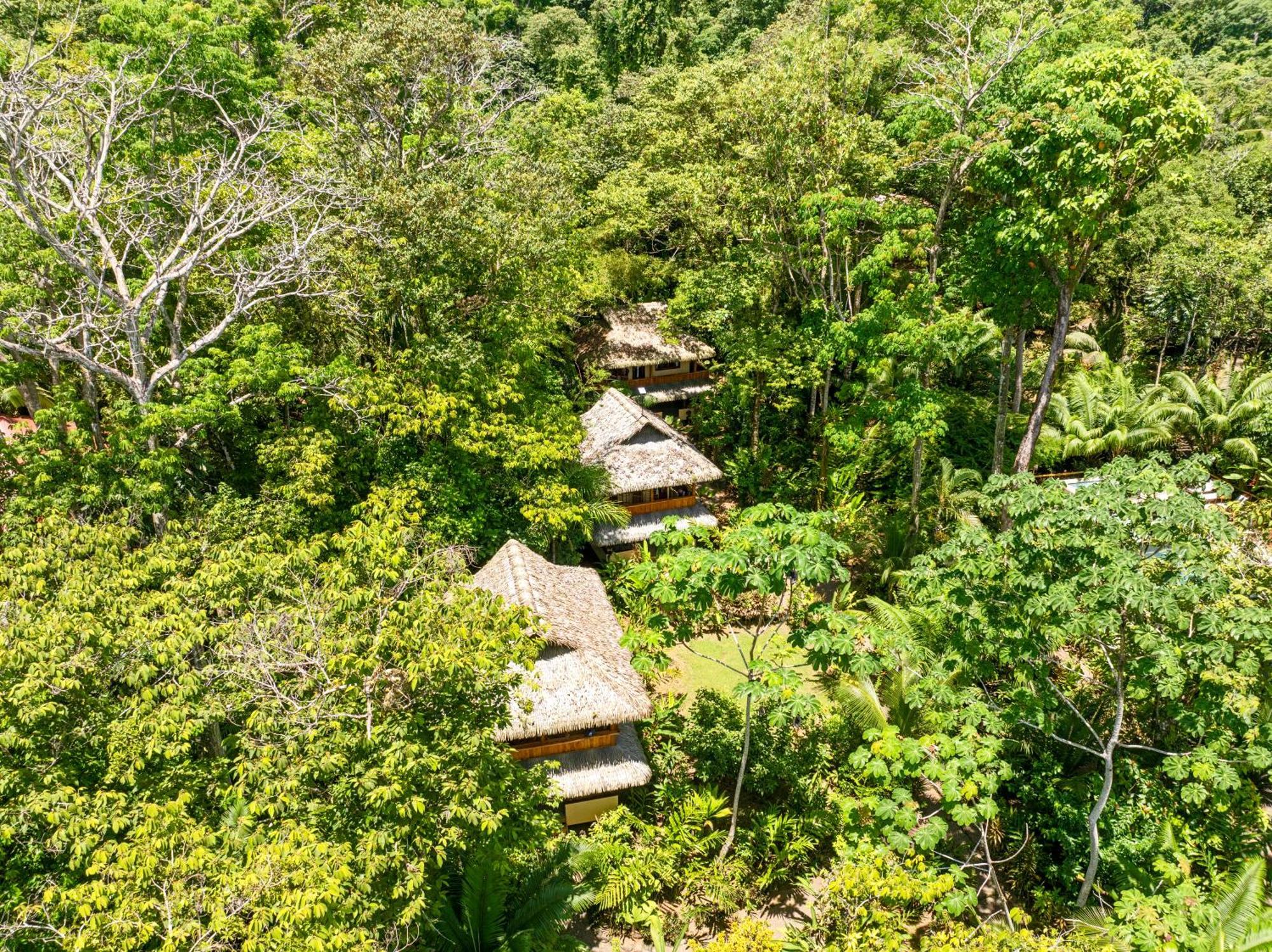 Copa De Arbol Beach & Rainforest Resort Drake Bay Exterior photo