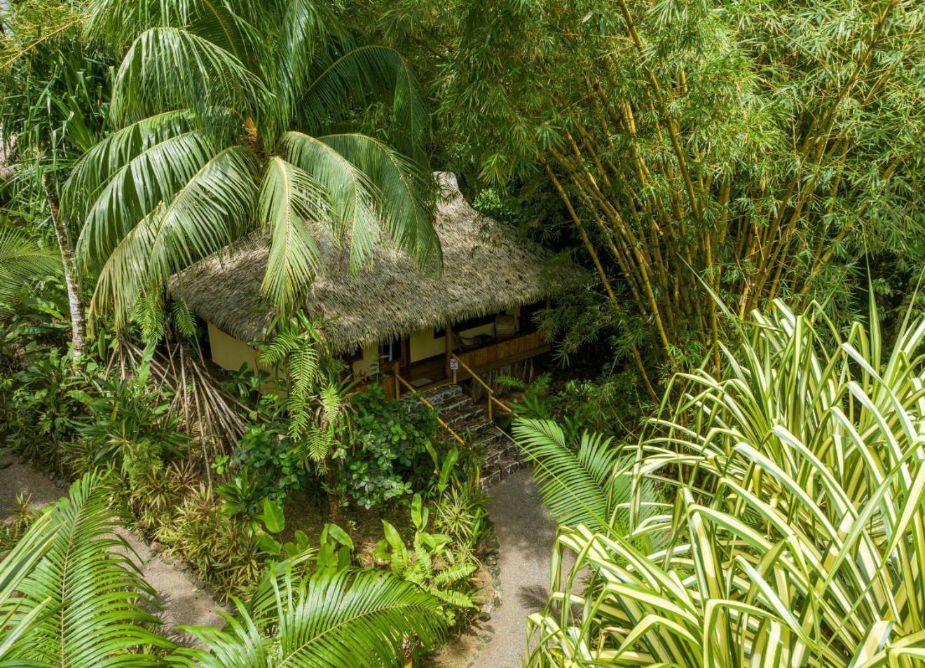 Copa De Arbol Beach & Rainforest Resort Drake Bay Room photo