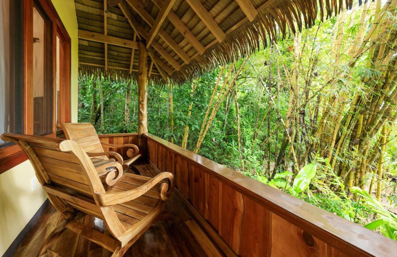 Copa De Arbol Beach & Rainforest Resort Drake Bay Exterior photo