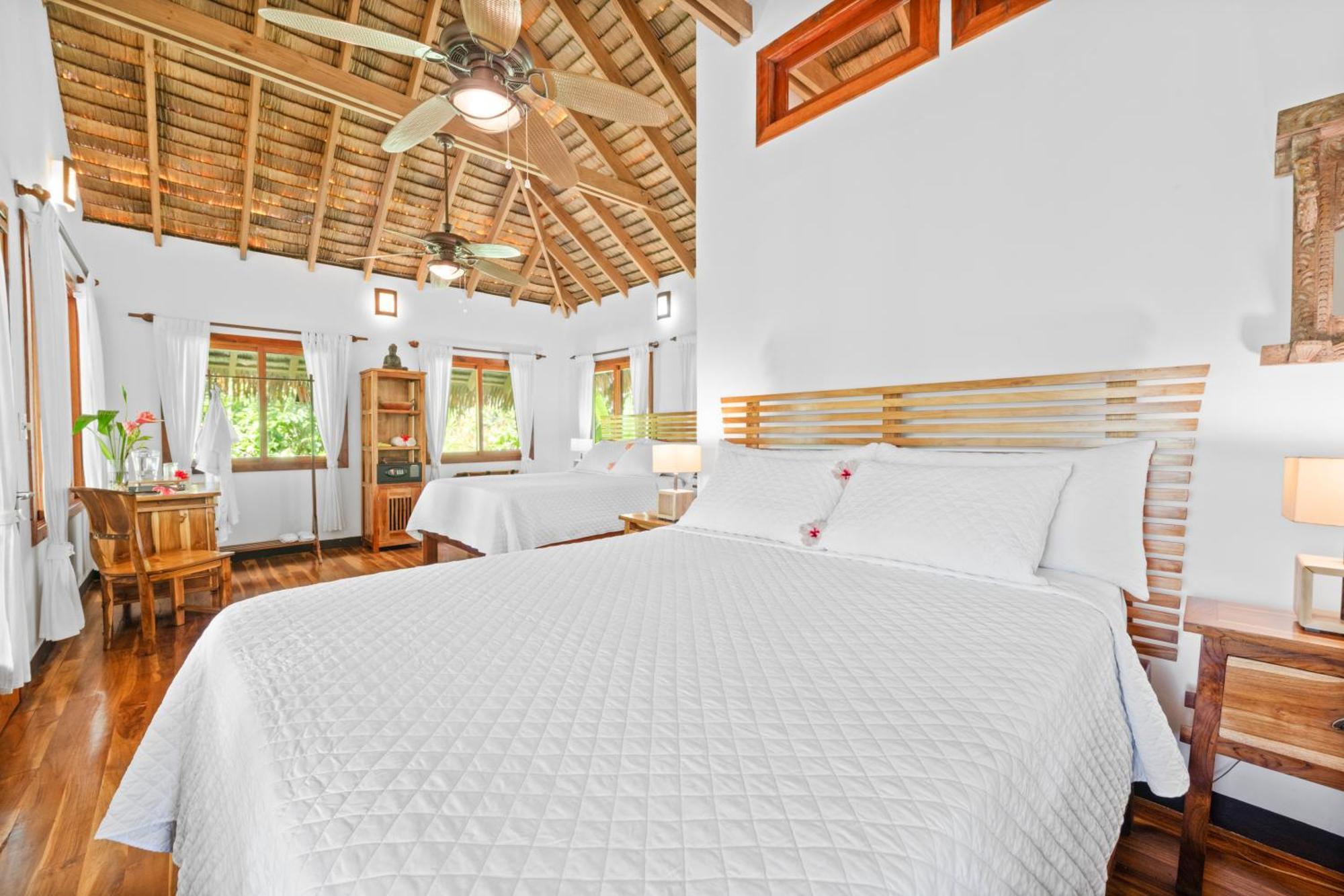 Copa De Arbol Beach & Rainforest Resort Drake Bay Room photo