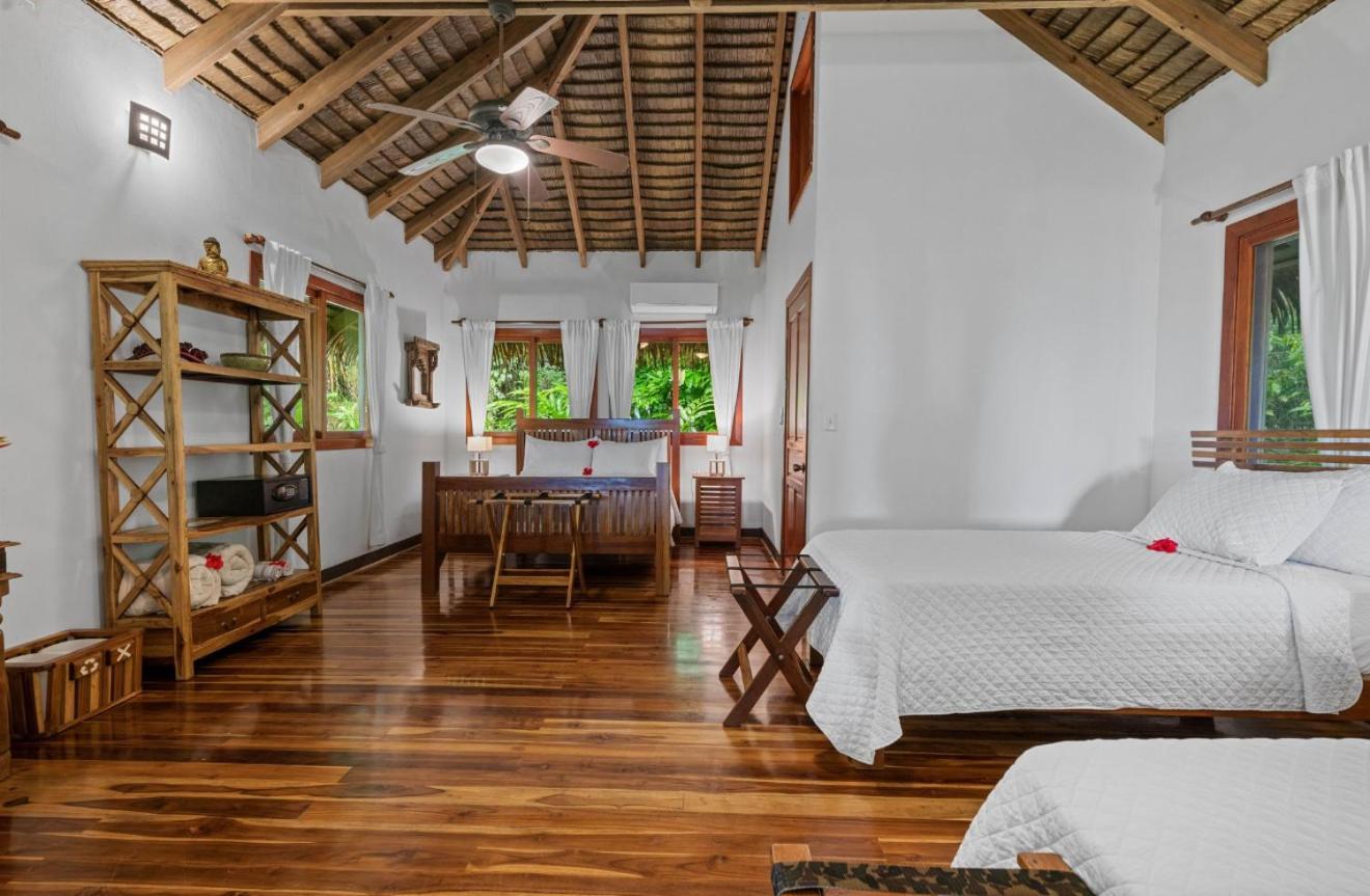 Copa De Arbol Beach & Rainforest Resort Drake Bay Exterior photo
