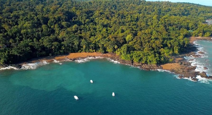 Copa De Arbol Beach & Rainforest Resort Drake Bay Exterior photo