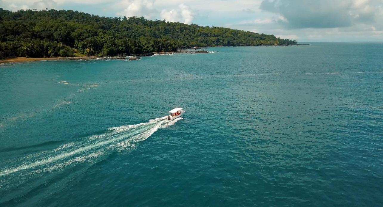 Copa De Arbol Beach & Rainforest Resort Drake Bay Exterior photo